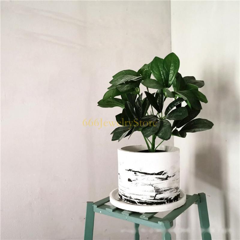 F2TD大きな丸い高級植物プランターポットシリコン金型コンク - Potsticker Mold のレビューと価格